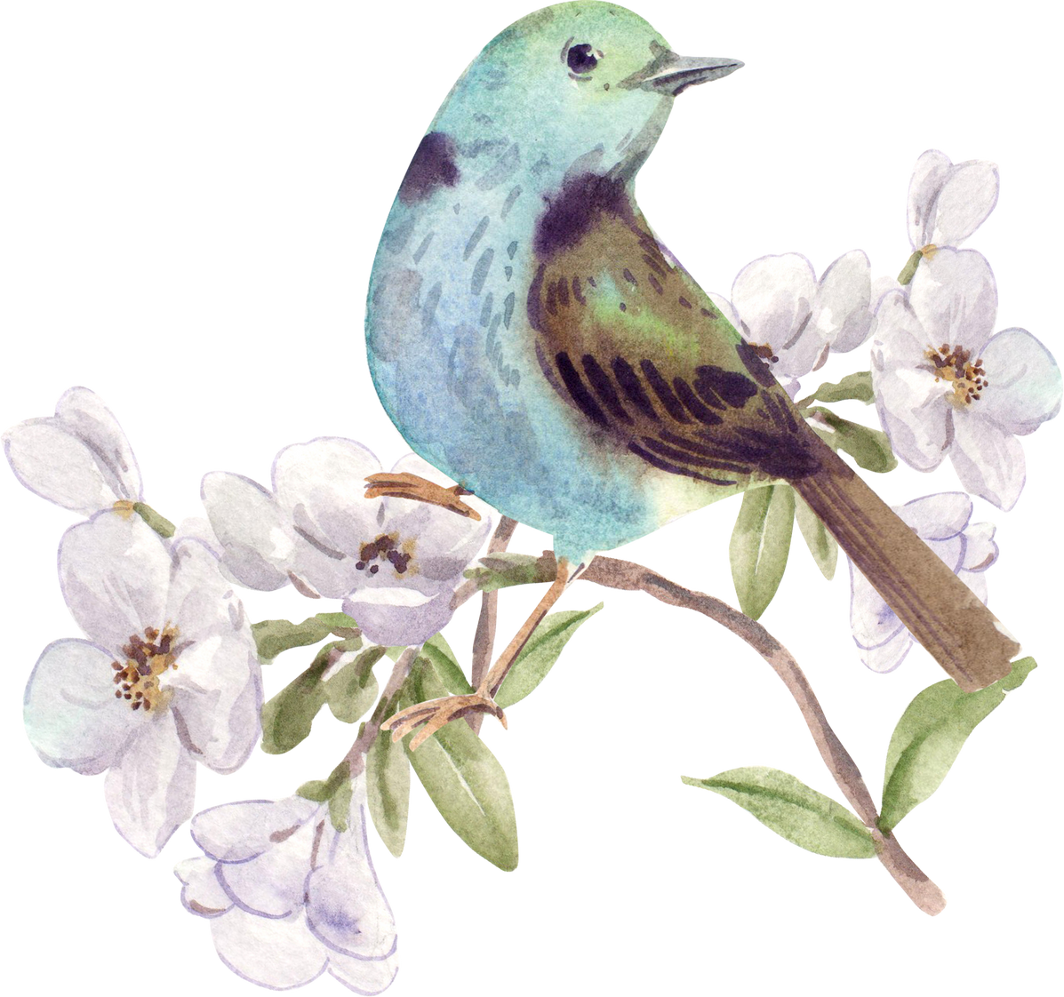 Bird Perching on a Flower Branch Watercolor